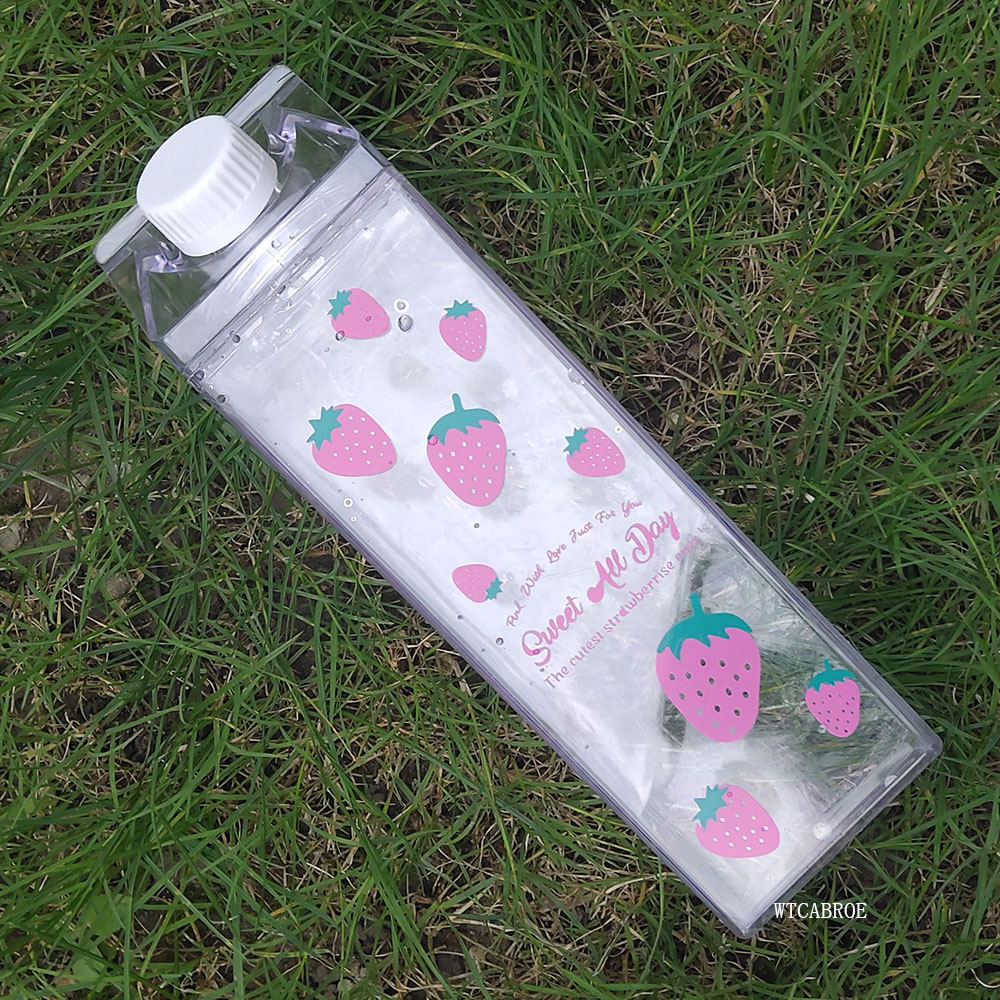 500ML 물병 Drinkware 친환경 셰이커 조롱박 - Sports Equipment Kitchener 리뷰 및 가격